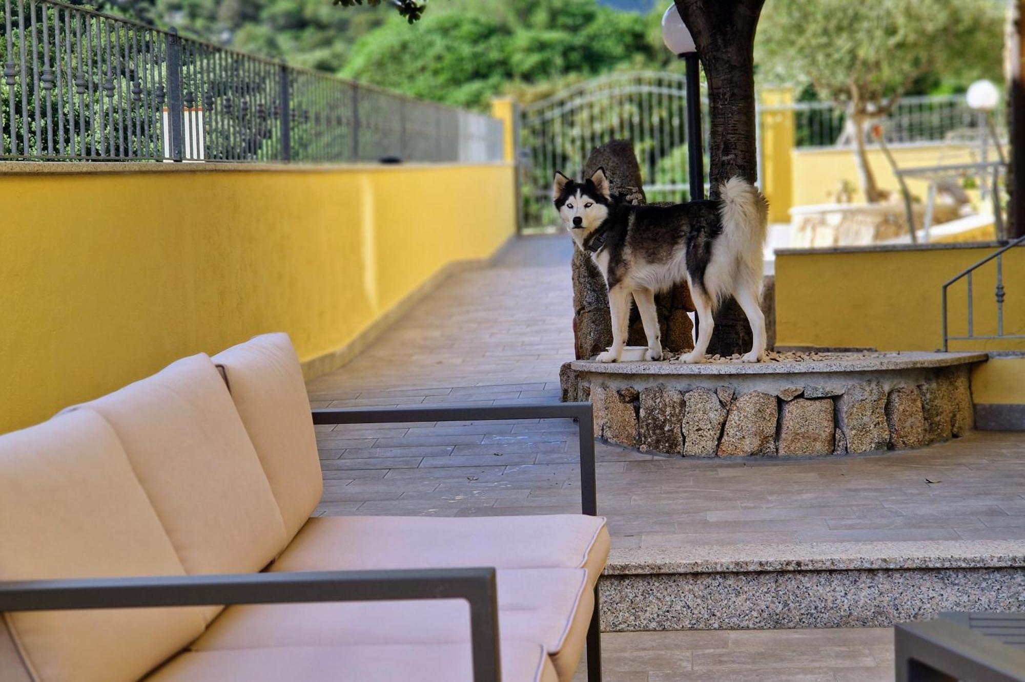 Sa Mamma E Sole B&B Cala Gonone Exterior photo